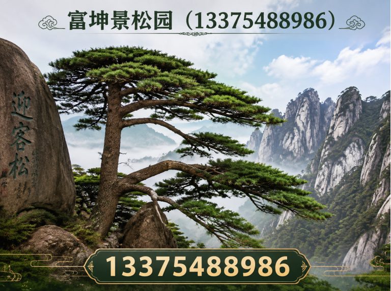 泰安绿化苗木展示图